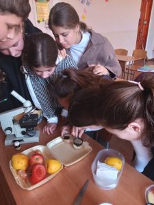 Lucrare practică la biologie clasa VII:,,Cercetarea celulelor vegetale si animale.,,