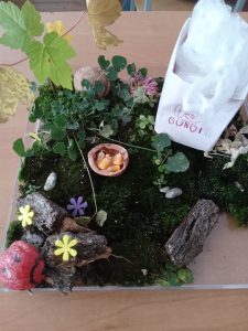 Secvențe din cadrul orelor opționale/Educație ecologică, cl. V