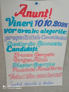 Alegerea Președintelui Consiliului Elevilor